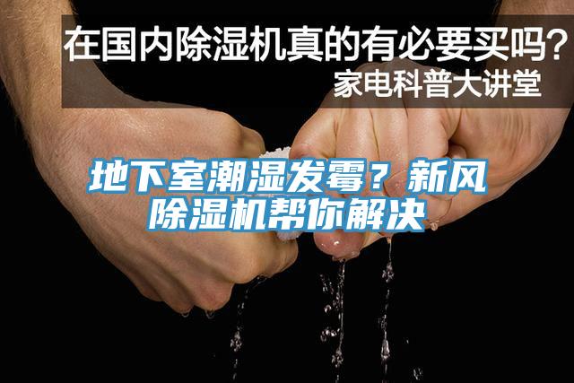 地下室潮濕發黴？新風小黄片软件免费下载幫你解決