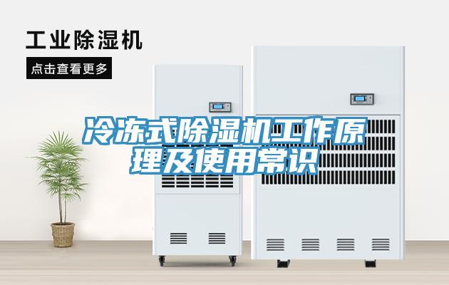 冷凍式小黄片软件免费下载工作原理及使用常識