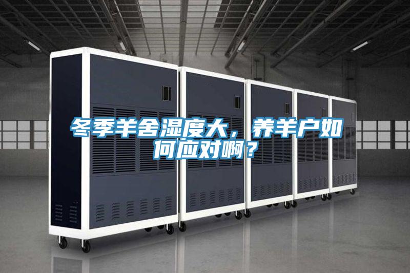 冬季羊舍濕度大，養羊戶如何應對啊？