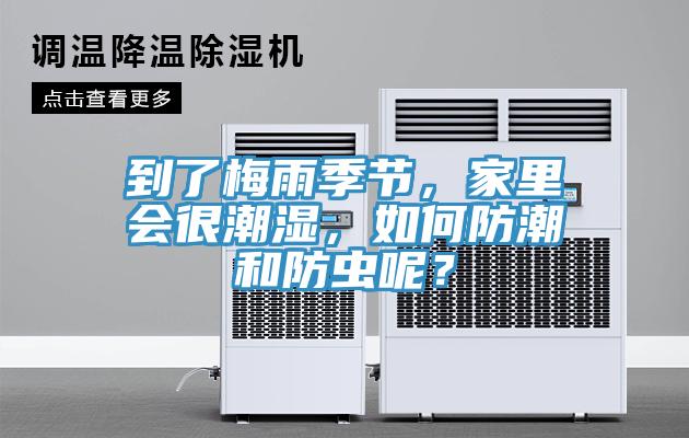 到了梅雨季節，家裏會很潮濕，如何防潮和防蟲呢？