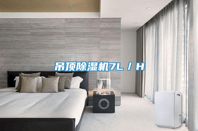 吊頂小黄片软件免费下载7L／H