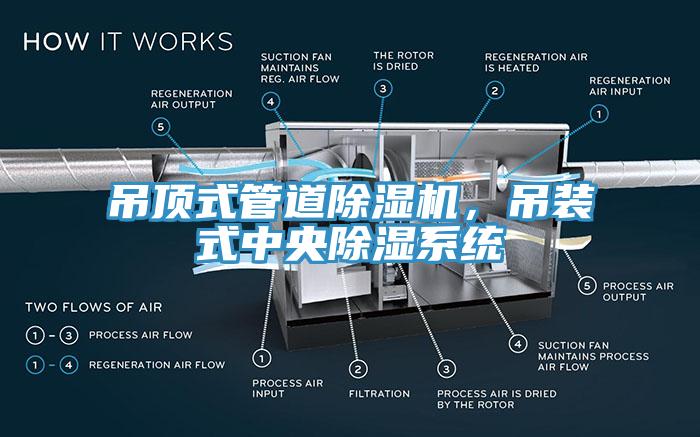 吊頂式管道小黄片软件免费下载，吊裝式中央除濕係統