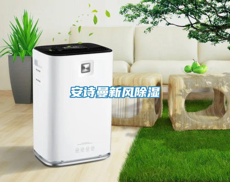 小黄片怎么下载新風除濕