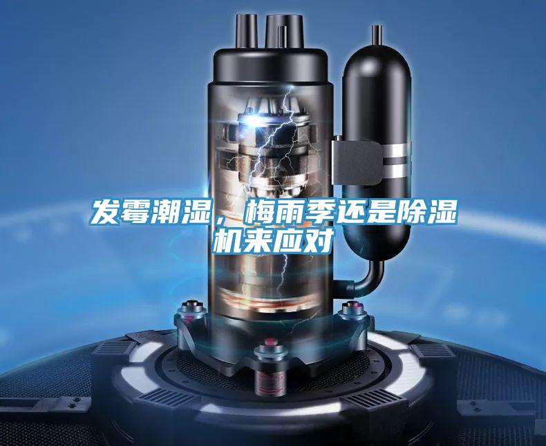 發黴潮濕，梅雨季還是小黄片软件免费下载來應對
