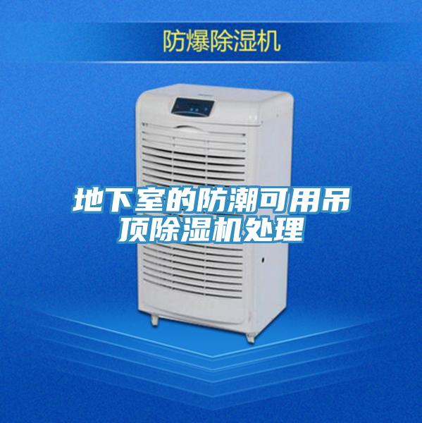 地下室的防潮可用吊頂小黄片软件免费下载處理