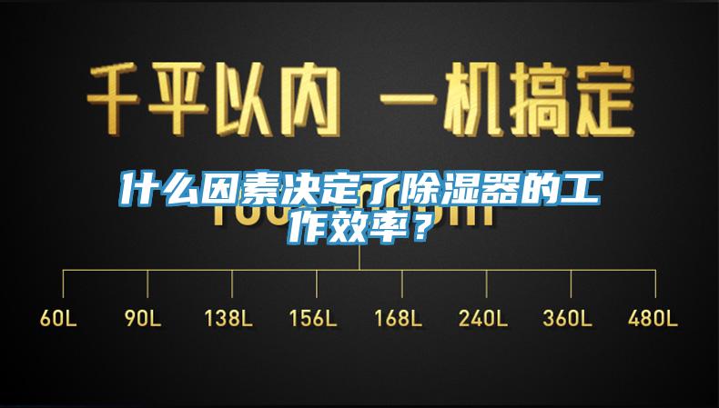 什麽因素決定了除濕器的工作效率？