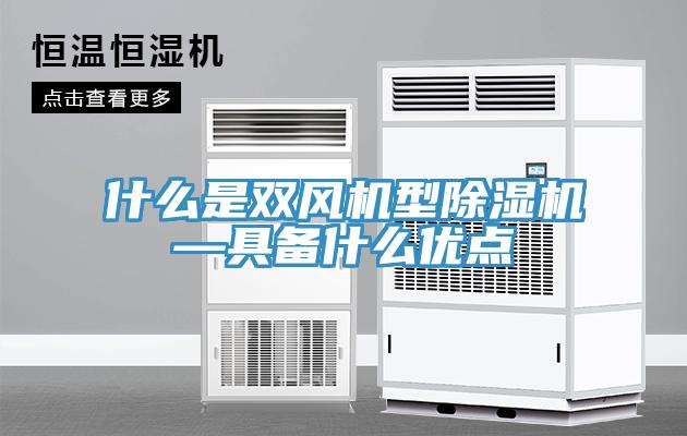 什麽是雙風機型小黄片软件免费下载—具備什麽優點