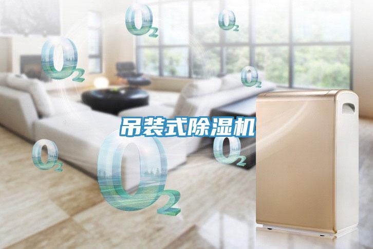 吊裝式小黄片软件免费下载