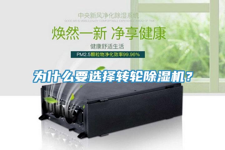 為什麽要選擇轉輪小黄片软件免费下载？