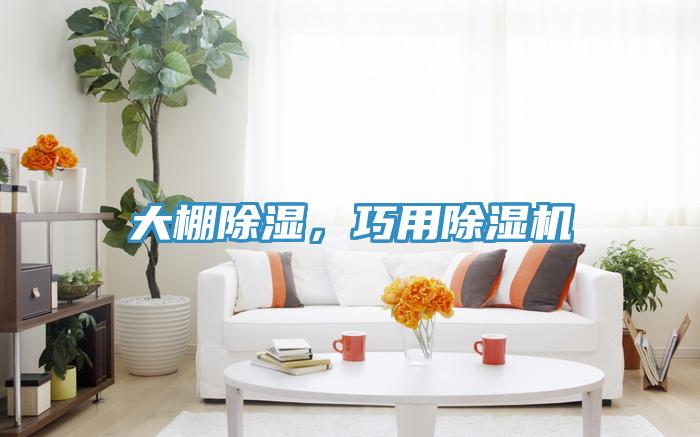 大棚除濕，巧用小黄片软件免费下载