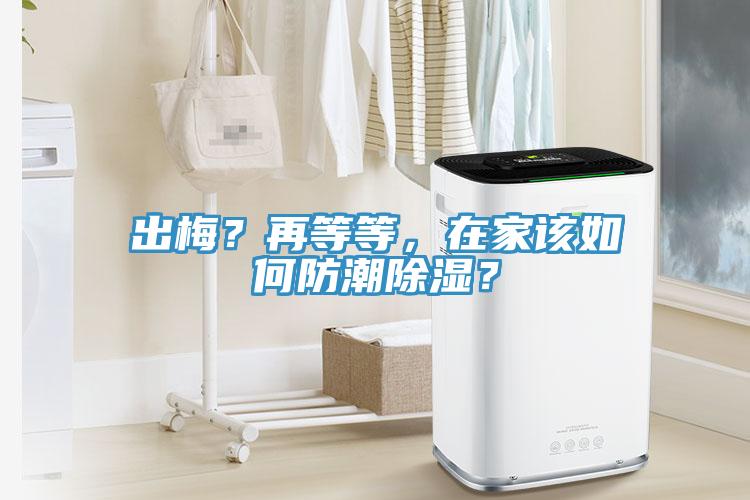 出梅？再等等，在家該如何防潮除濕？