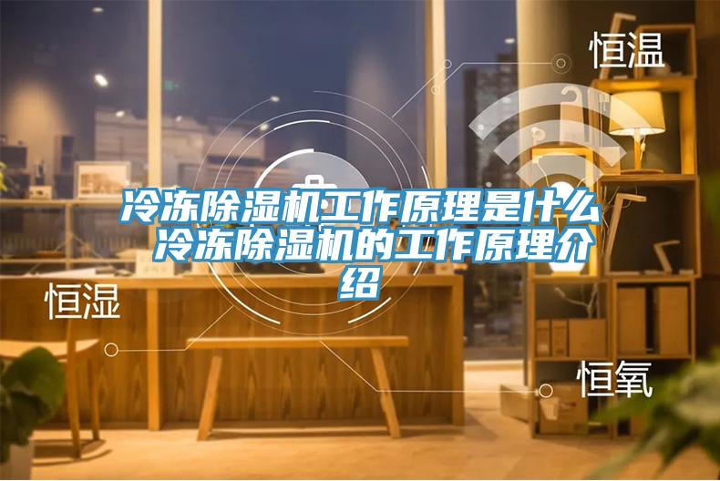 冷凍小黄片软件免费下载工作原理是什麽 冷凍小黄片软件免费下载的工作原理介紹