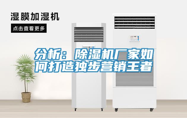 分析：小黄片软件免费下载廠家如何打造獨步營銷王者