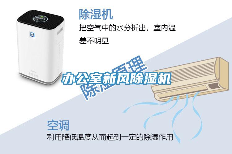 辦公室新風小黄片软件免费下载