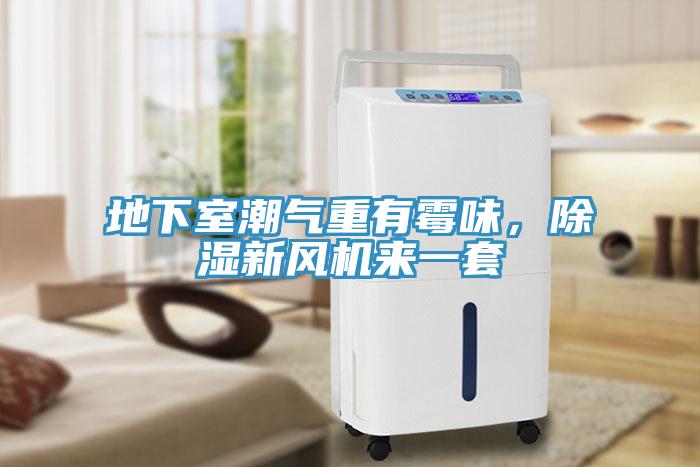 地下室潮氣重有黴味，除濕新風機來一套
