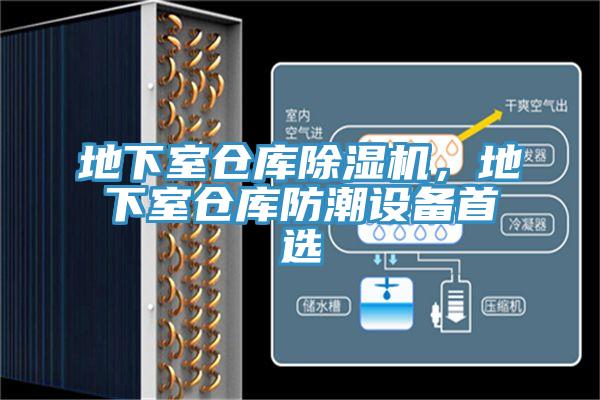 地下室倉庫小黄片软件免费下载，地下室倉庫防潮設備首選