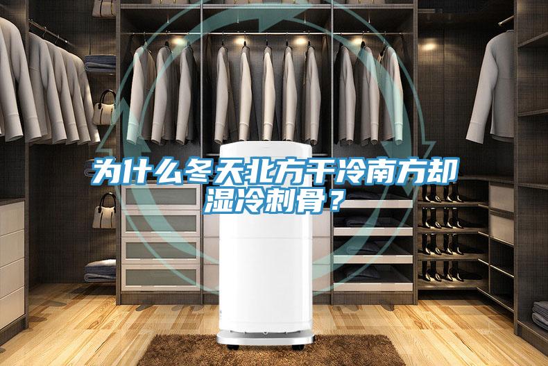 為什麽冬天北方幹冷南方卻濕冷刺骨？