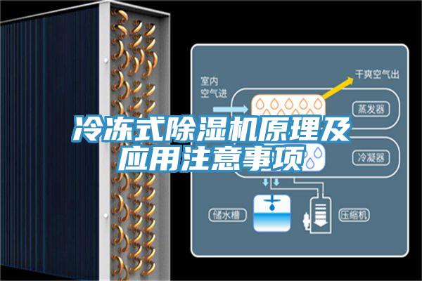 冷凍式小黄片软件免费下载原理及應用注意事項