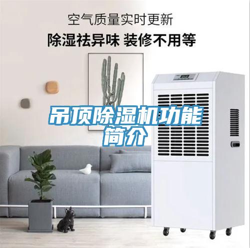 吊頂小黄片软件免费下载功能簡介