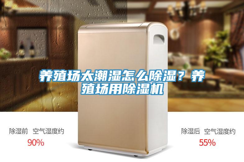 養殖場太潮濕怎麽除濕？養殖場用小黄片软件免费下载