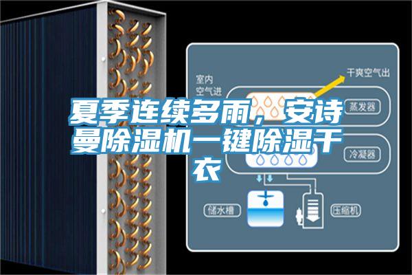 夏季連續多雨，小黄片怎么下载小黄片软件免费下载一鍵除濕幹衣