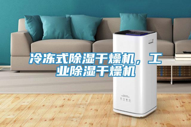 冷凍式除濕幹燥機，工業除濕幹燥機