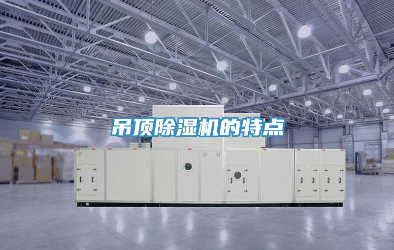吊頂小黄片软件免费下载的特點