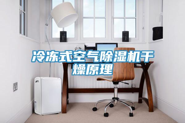 冷凍式空氣小黄片软件免费下载幹燥原理