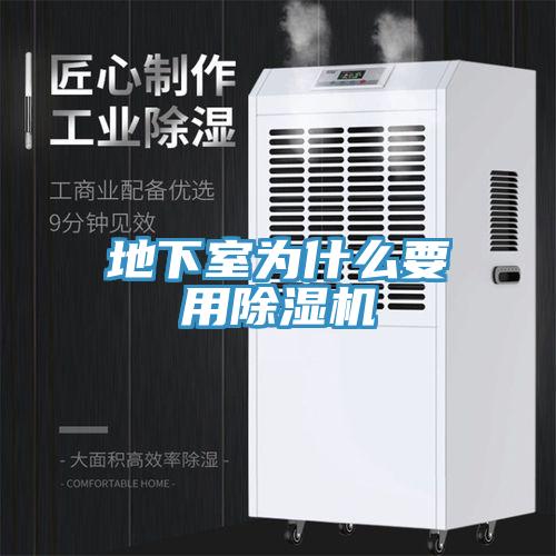 地下室為什麽要用小黄片软件免费下载