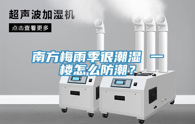 南方梅雨季很潮濕 一樓怎麽防潮？