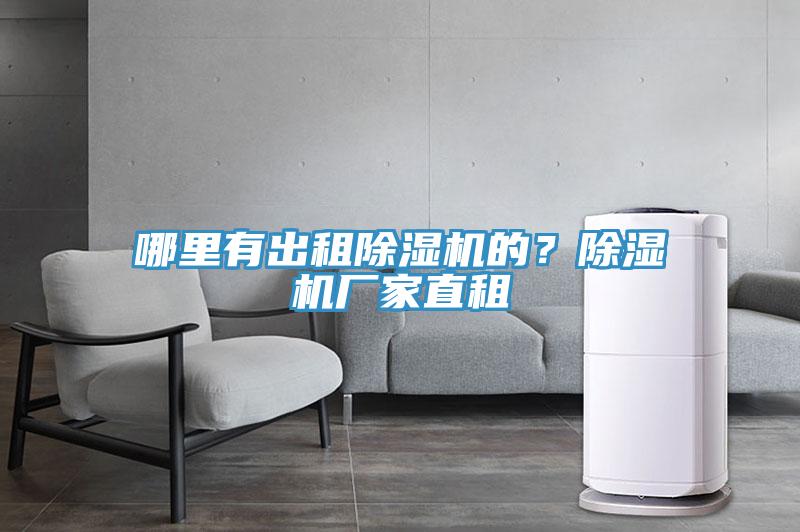 哪裏有出租小黄片软件免费下载的？小黄片软件免费下载廠家直租