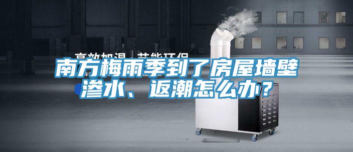 南方梅雨季到了房屋牆壁滲水、返潮怎麽辦？