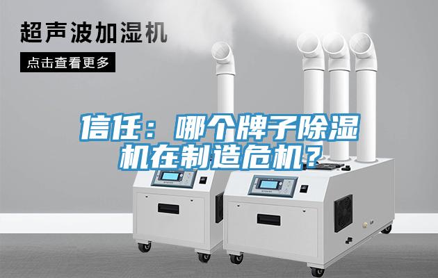 信任：哪個牌子小黄片软件免费下载在製造危機？