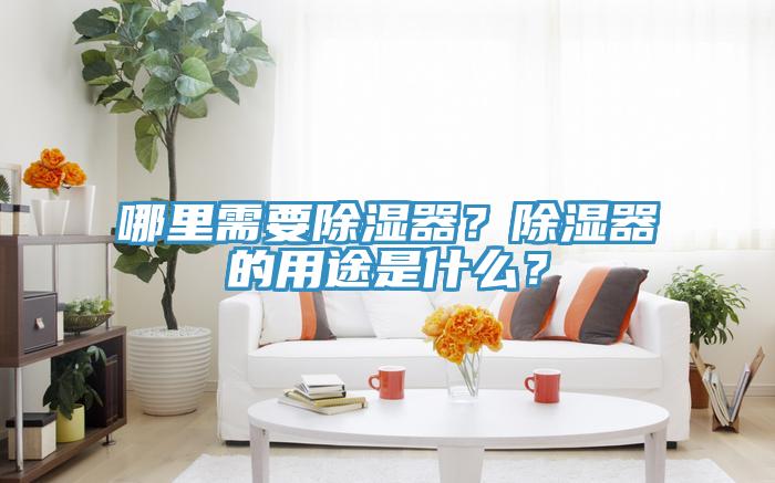 哪裏需要除濕器？除濕器的用途是什麽？