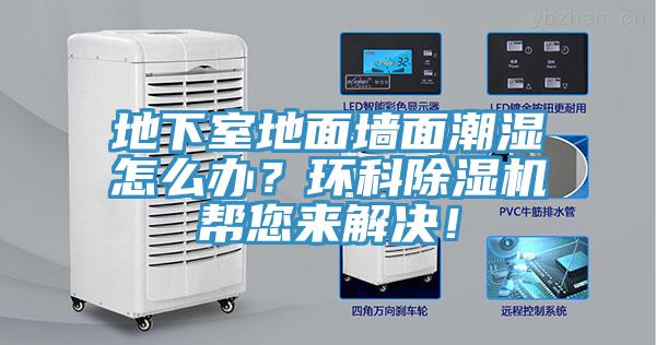 地下室地麵牆麵潮濕怎麽辦？環科小黄片软件免费下载幫您來解決！