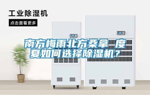 南方梅雨北方桑拿 度夏如何選擇小黄片软件免费下载？