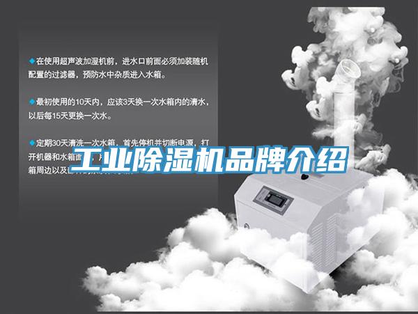 工業小黄片软件免费下载品牌介紹
