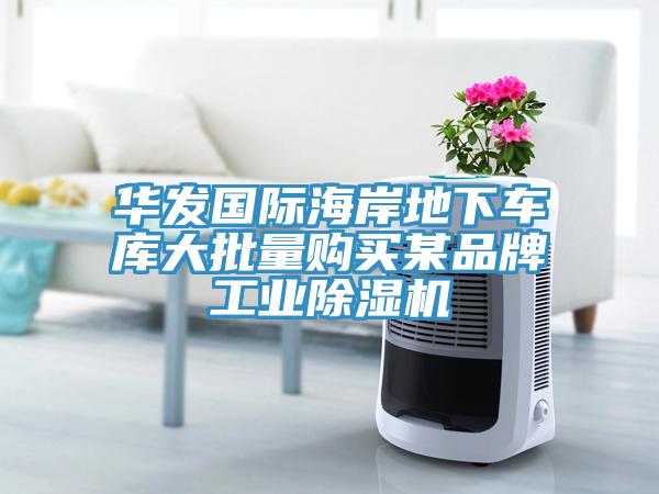 華發國際海岸地下車庫大批量購買某品牌工業小黄片软件免费下载
