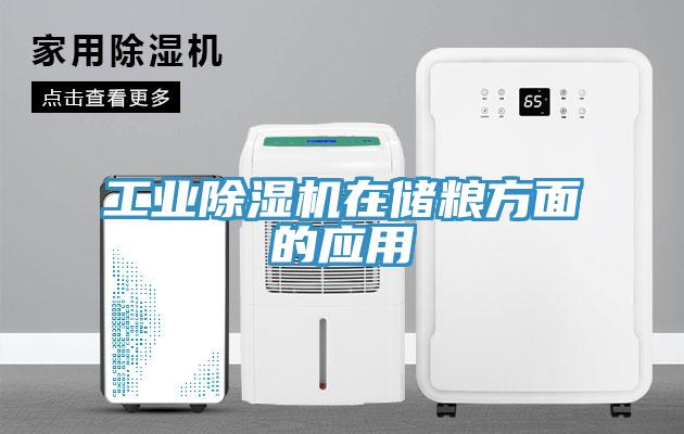 工業小黄片软件免费下载在儲糧方麵的應用