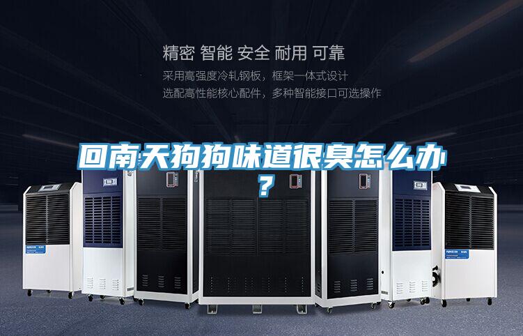 回南天狗狗味道很臭怎麽辦？