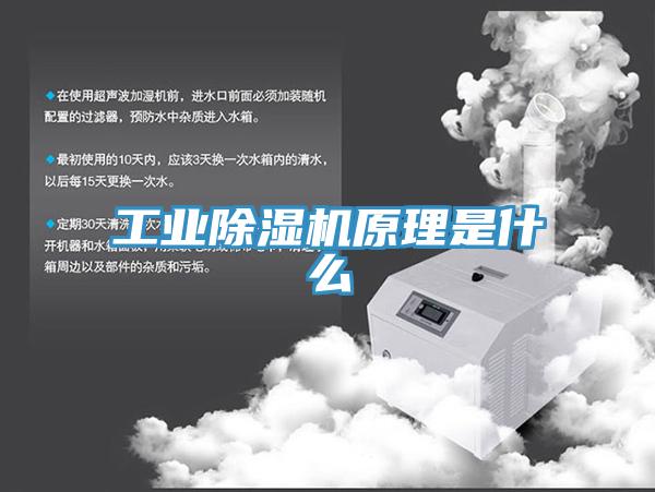 工業小黄片软件免费下载原理是什麽