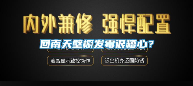回南天壁櫥發黴很糟心？