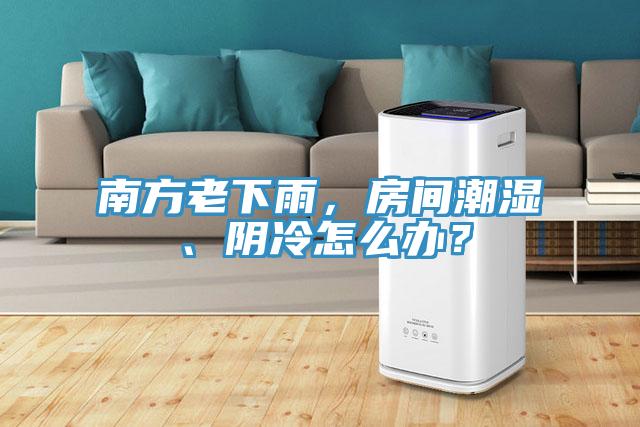 南方老下雨，房間潮濕、陰冷怎麽辦？