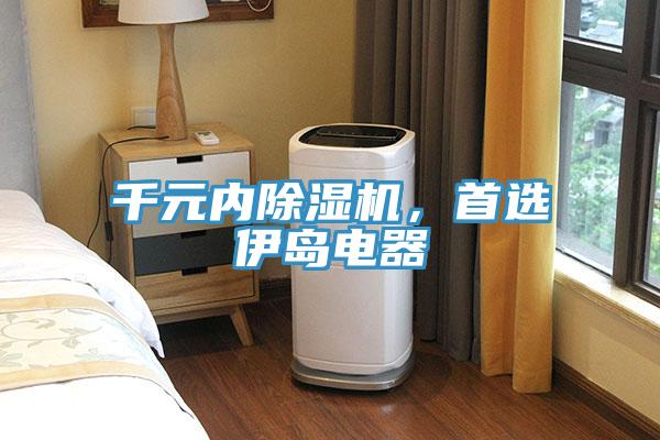 千元內小黄片软件免费下载，首選伊島電器