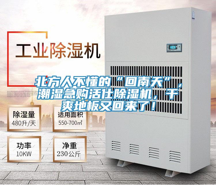 北方人不懂的“回南天”，潮濕急購活仕小黄片软件免费下载，幹爽地板又回來了！