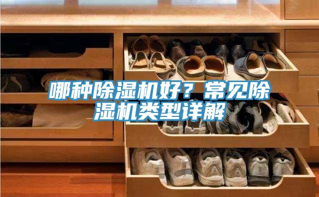 哪種小黄片软件免费下载好？常見小黄片软件免费下载類型詳解