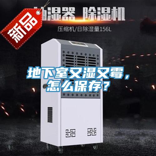 地下室又濕又黴，怎麽保存？