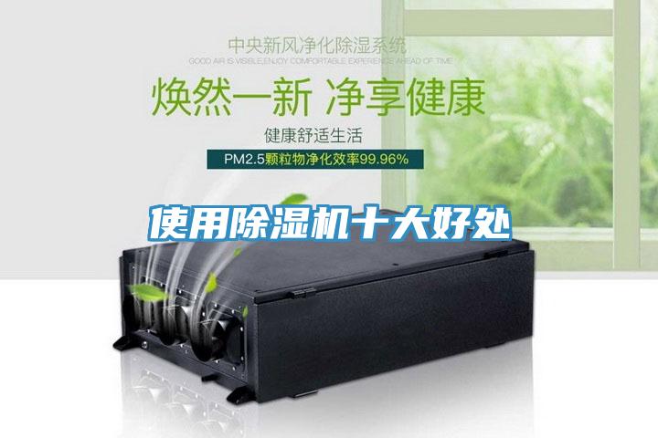 使用小黄片软件免费下载十大好處