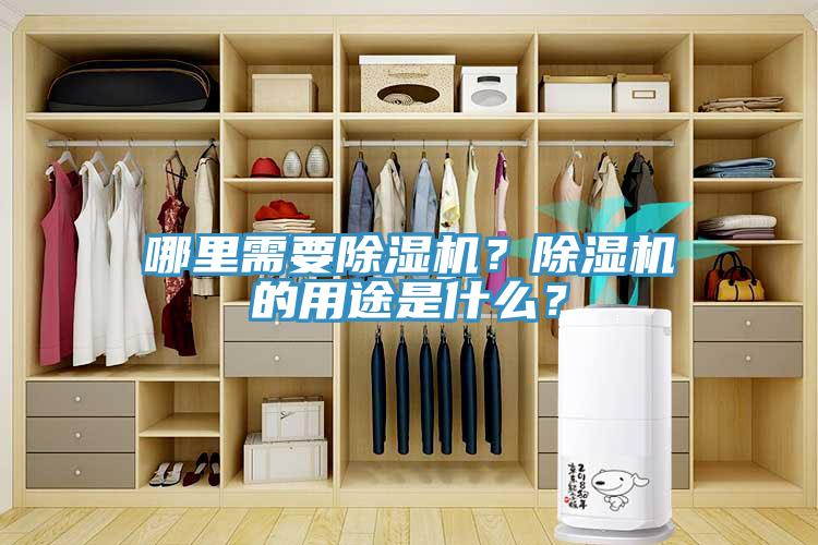 哪裏需要小黄片软件免费下载？小黄片软件免费下载的用途是什麽？
