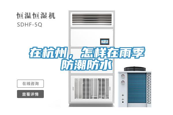 在杭州，怎樣在雨季防潮防水